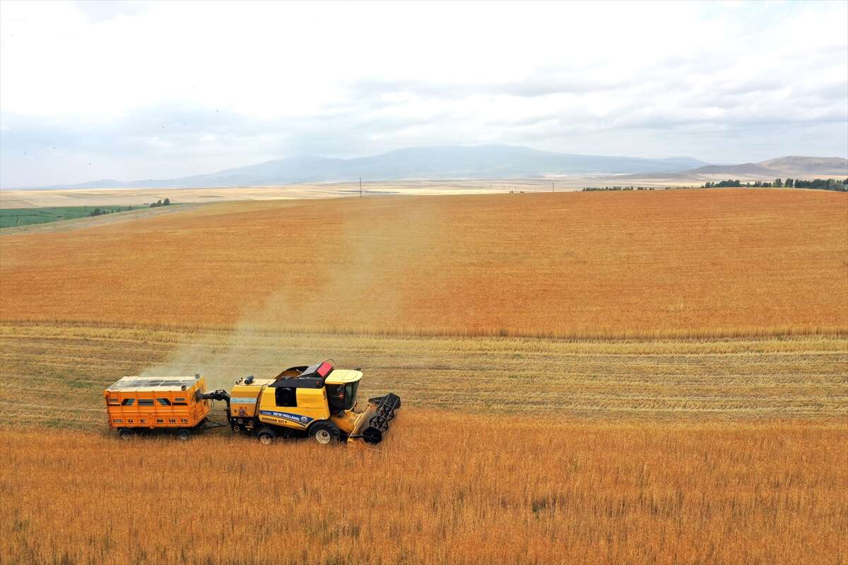 Taner bu yıl çiftçinin cebini dolduracak 3
